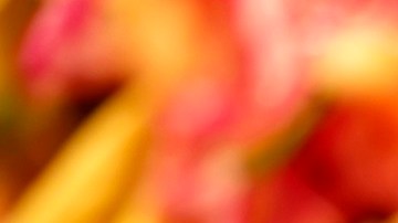 Los tacos son un platillo popular en restaurantes mexicanos.