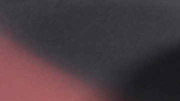 Halle Bailey anunció que se convirtió en mamá y compartió la primera foto de su bebé