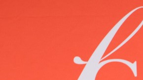 A una semana de su primer aniversario de bodas, Marc Anthony y Nadia Ferreira recibieron su primer regalo