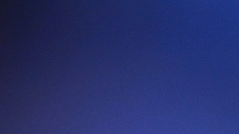 El exentrenador de los Tigres, Miguel Herrera, se arrepiente de las palabras que tuvo de la plantilla que dirigió.