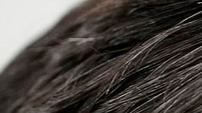 El presidente de la Cámara de Representantes, el republicano Mike Johnson.