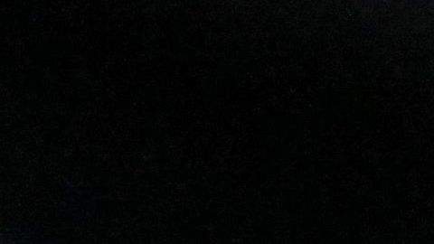 Maúlla un gato en video de la NASA desde el espacio profundo