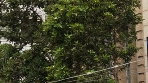 Police officers patrol ahead of the arrival of China's President Xi Jinping next to Asia-Pacific Economic Cooperation (APEC) summit headquarters November 14, 2023 in San Francisco, California. The APEC Summit takes place through November 17. (Photo by Loren Elliott / AFP) (Photo by LOREN ELLIOTT/AFP via Getty Images)