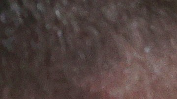 El director de Red Bull Christian Horner ya le puso una fecha límite para que “Checo2 Pérez demuestre que se quiere quedar .