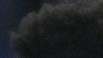 Arteaga está en Bélgica desde 2020.