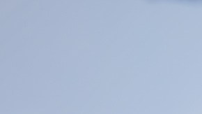 Jenna Ortega podría protagonizará la nueva película de Taika Waititi