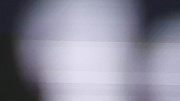 FOXBOROUGH, MASSACHUSETTS - DECEMBER 17: Patrick Mahomes #15 and Travis Kelce #87 of the Kansas City Chiefs high five during the first half against the New England Patriots at Gillette Stadium on December 17, 2023 in Foxborough, Massachusetts. (Photo by Sarah Stier/Getty Images)