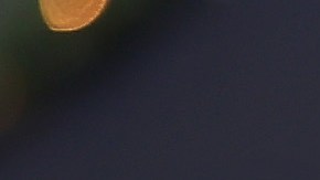 Más estados se suman a los esfuerzos para dejar a Trump fuera de las elecciones de 2024.