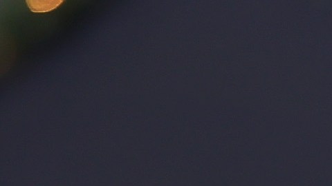 Más estados se suman a los esfuerzos para dejar a Trump fuera de las elecciones de 2024.
