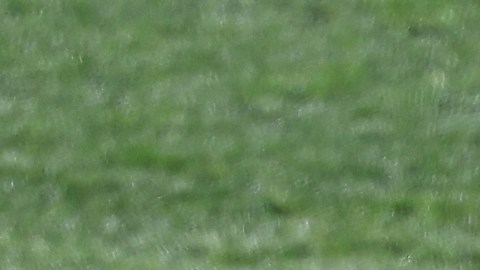 El Real Madrid llevó a cabo su primera sesión de entrenamiento en este nuevo año.