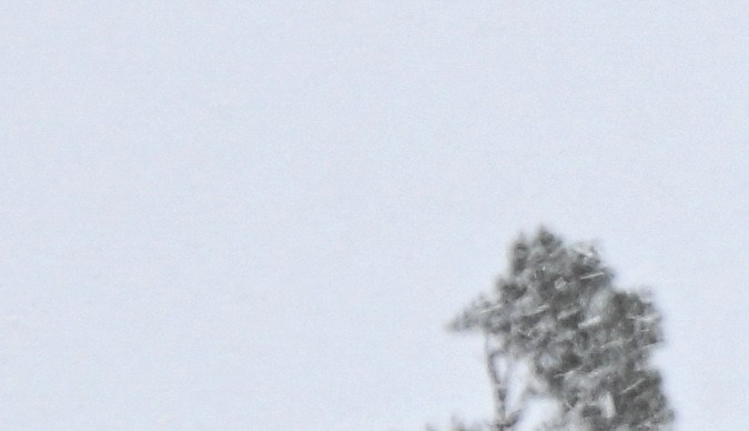 Aire frío del Ártico provocará temperaturas bajo cero: ¿cuáles serán los estados más afectados?