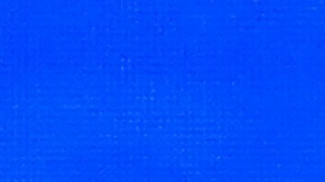 Ron DeSantis y Nikki Haley.