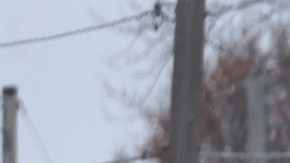 El tiroteo en la secundaria Perry, en Iowa, sigue bajo investigación.