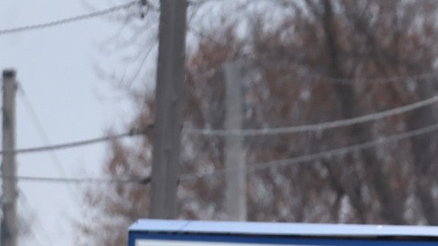 El tiroteo en la secundaria Perry, en Iowa, sigue bajo investigación.