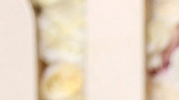 En el libro habrá imágenes captadas por el fotógrafo Craig McDean, sobre Margot Robbie usando ropa de Giorgio Armani, Donatella Versace.