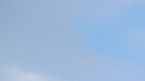 El suceso ocurrió al termino del partido entre Bill y Dolphins.