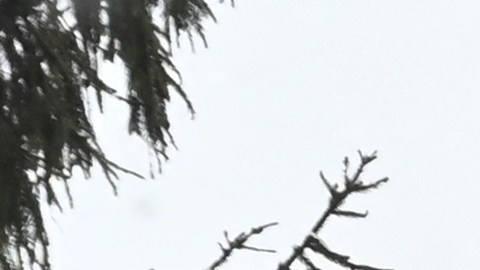 Un hotel destruido tras un ataque ruso con misiles en Járkov, el 11 de enero de 2024.