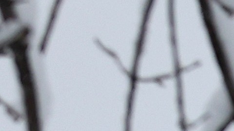 Aire frío del Ártico provocará temperaturas bajo cero: ¿cuáles serán los estados más afectados?