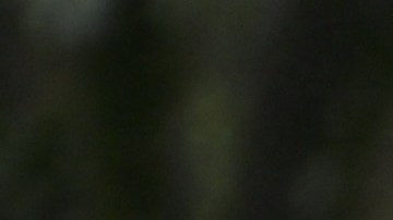 Crisis en Ecuador: ¿El narcotráfico mexicano es una cortina de humo para los políticos de países involucrados?