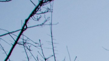 Miles marcharon para apoyar a los palestinos y pedir un alto al fuego en el conflicto y el fin del apoyo de EE.UU. un Israel.