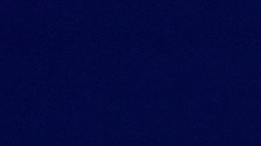 Bill Belichick estuvo 24 años como entrenador en los New England Patriots.