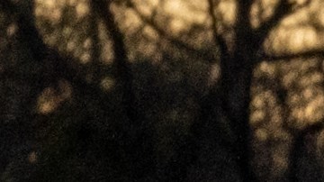 El estado de Texas tomó control de la frontera de Estados Unidos en Eagle Pass.