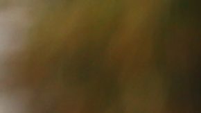 Luis Suárez, Lionel Messi y Sergio Busquets en un entrenamiento del Inter Miami.