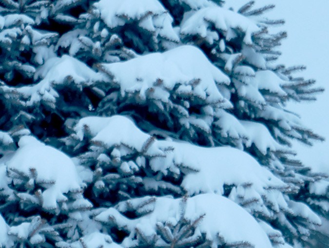 25 estados en alerta por ola de frío ártico que ha dejado vuelos cancelados y a miles sin electricidad