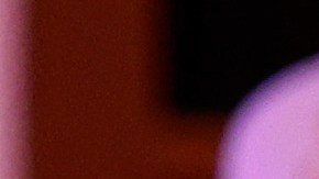 El expresidente Donald Trump durante un telemitín en Iowa el 13 de enero de 2024.