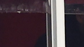 Taylor Swift lució una chamarra roja adornada con el número 87 de Travis Kelce en el pecho.