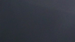 Los Lions acabaron con la sequía de 22 años.