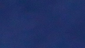 Gustavo Lema sufrió su primera derrota en el Torneo Clausura 2024 con los Pumas de la UNAM.