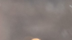 Alrededor de 11 millones de personas están bajo vigilancia de inundaciones desde el sureste de Texas hasta el sur de Tennessee. Y otros 55 millones están bajo avisos de clima invernal desde las llanuras centrales hasta Nueva Inglaterra