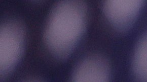 Donald Trump hablando durante un mitin de campaña el 19 de enero de 2024 en Concord, New Hampshire