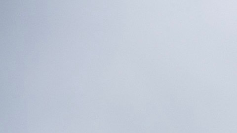 Seguidores de Biden pidieron inscribirlo en la boleta y votar por él en New Hampshire.