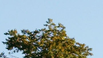 Bomberos recibieron un falsa alarma de incendio en la Casa Blanca