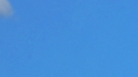 Ucrania admite que es posible que el avión ruso transportara prisioneros para un canje