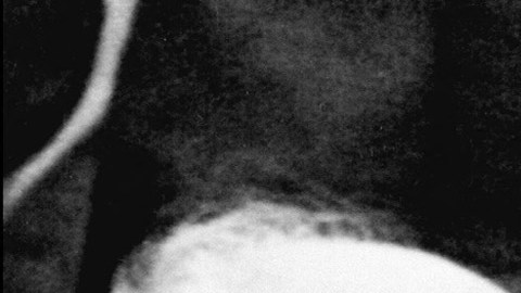 Franz Beckenbauer fallece a los 78 años de edad.