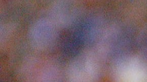 Zagallo ganó cuatro Copas del Mundo con Brasil