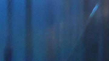 Residente recorre su juventud y sus años con Calle 13 junto a Visitante, en nuevo tema.