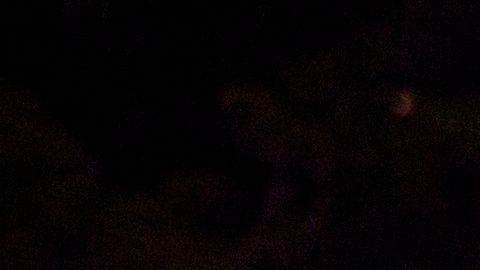 Una adolescente de Texas fue asesinada a tiros tres semanas después de dar a luz a su bebé