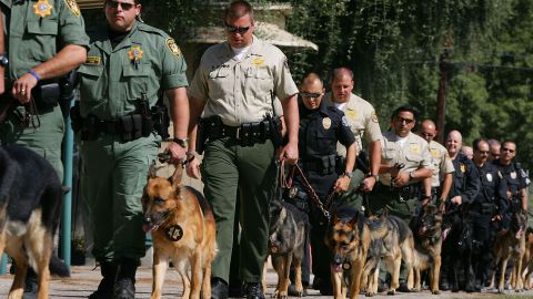 Perros policía se utilizan como arma letal.