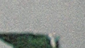 Mario Zagallo en mayo de 2006 en la sede del fútbol brasileño en Río de Janeiro.