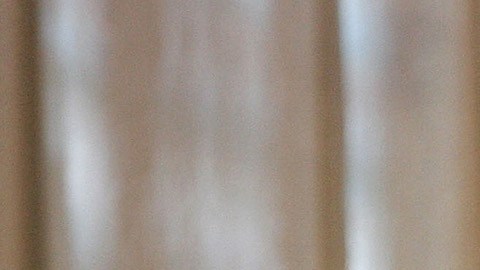 La inauguración de la calle en honor a David Bowie incluirá un concierto y una exposición en París.