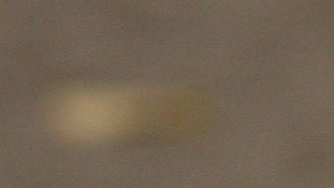 Niño de 5 años fue asesinado a tiros mientras le cortaban el pelo en Alabama