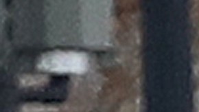 Auto choca contra barrera en la Casa Blanca; conductor es detenido