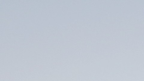 VIDEO: Pastor destruye figura de la Virgen de Guadalupe durante ceremonia y causa polémica en redes