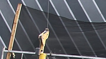 MIAMI, FL - MAY 11: The Brightline train is seen at the new MiamiCentral terminal during the inaugural trip from Miami to West Palm Beach on May 11, 2018 in Miami, Florida. Brightline welcomed the media, politicians and other dignitaries to ride on the inaugural trip for the privately funded passenger train which is running from Miami to West Palm Beach with one stop in Fort Lauderdale. The $3.1 billion project, will eventually extend its rail system to Orlando International Airport and is scheduled to be completed by January 2021. (Photo by Joe Raedle/Getty Images)