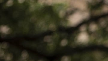 Gilberto Hinojosa, presidente del Partido Demócrata de Texas