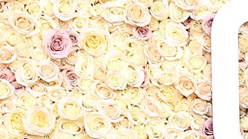 La película Barbie es la más nominada en los Golden Globes 2024.